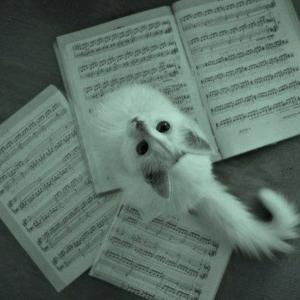 MeoW